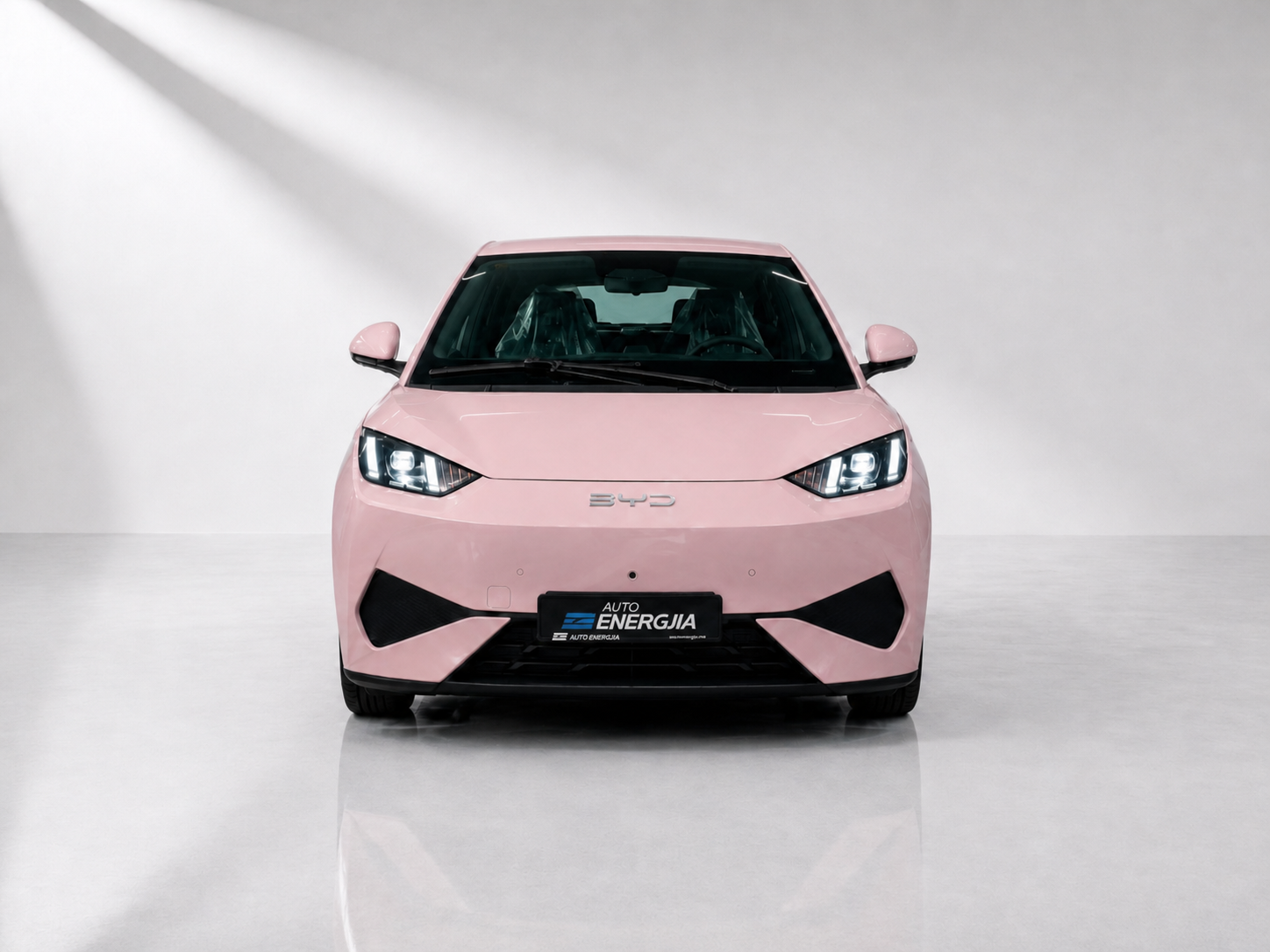 BYD Seagull Flying Version Pink
