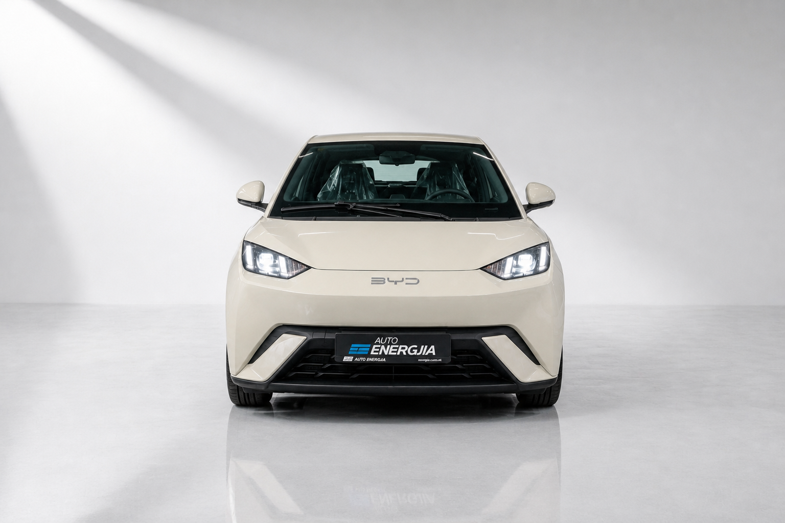 BYD Seagull Free Version
